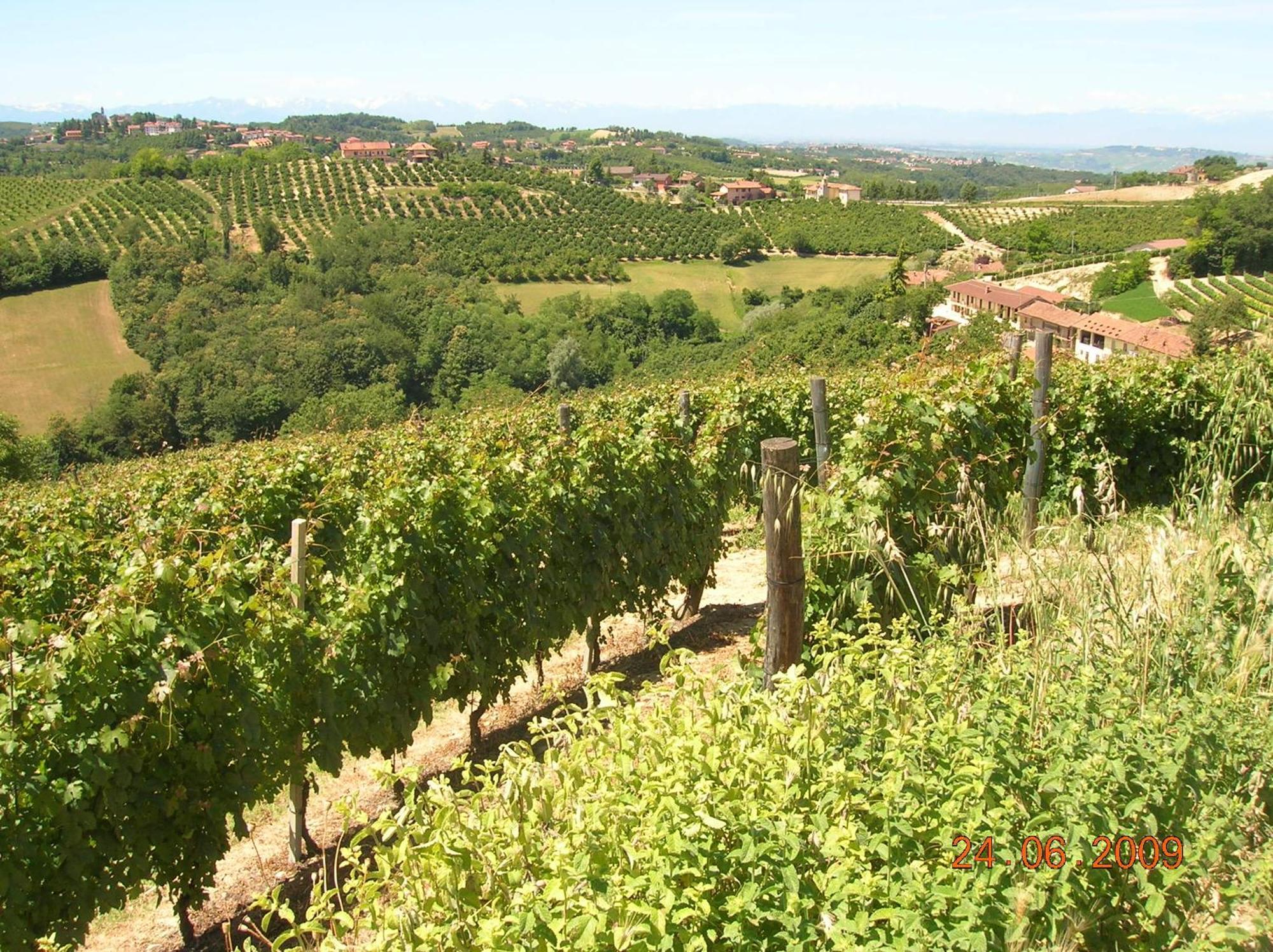 Tenuta Calabiana Diano dʼAlba Kültér fotó