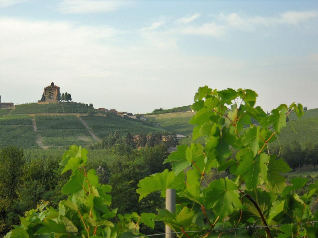 Tenuta Calabiana Diano dʼAlba Szoba fotó