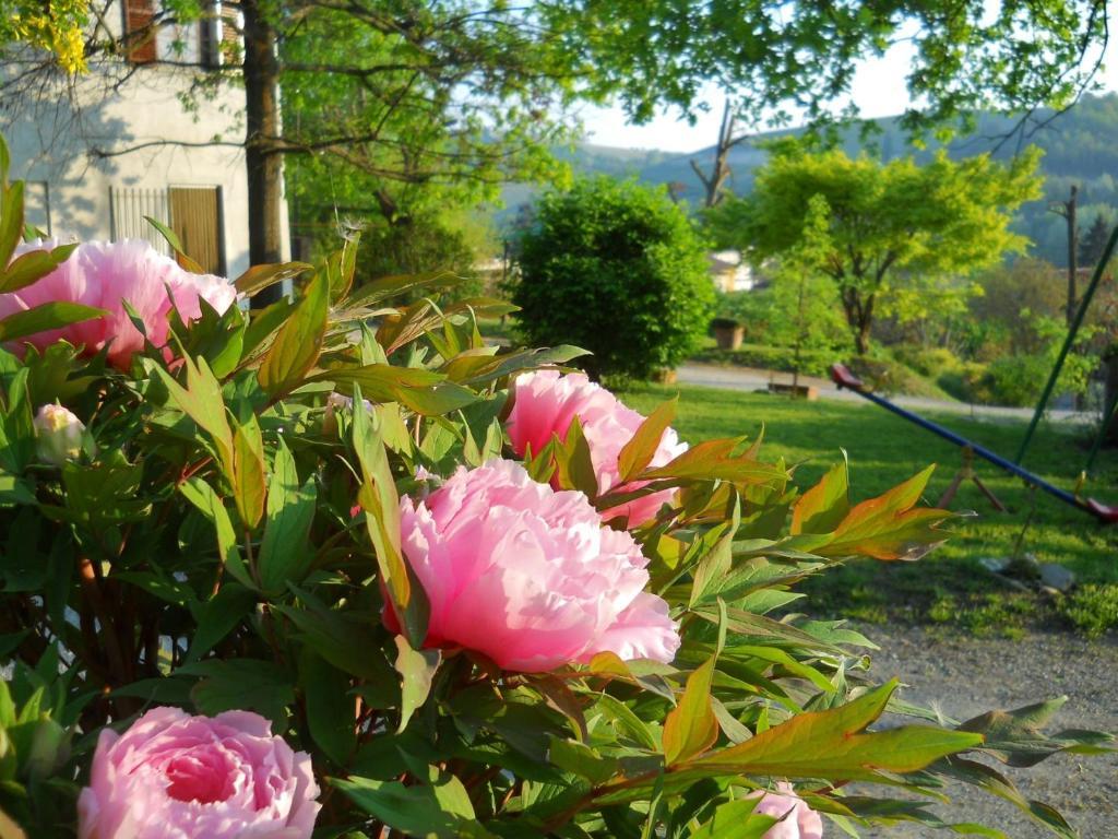 Tenuta Calabiana Diano dʼAlba Szoba fotó